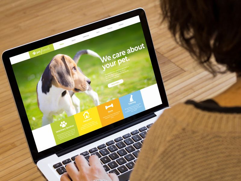 Czy Shoper to dobre rozwiązanie dla Twojego e-commerce?